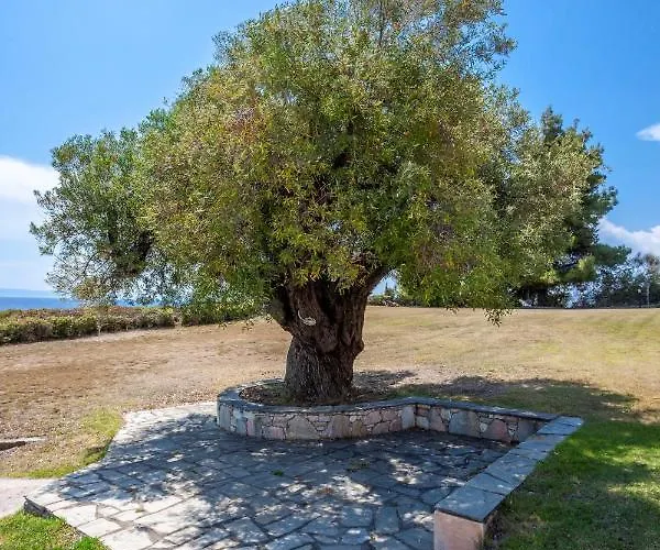 Alterra Captain's * Νέος Μαρμαράς